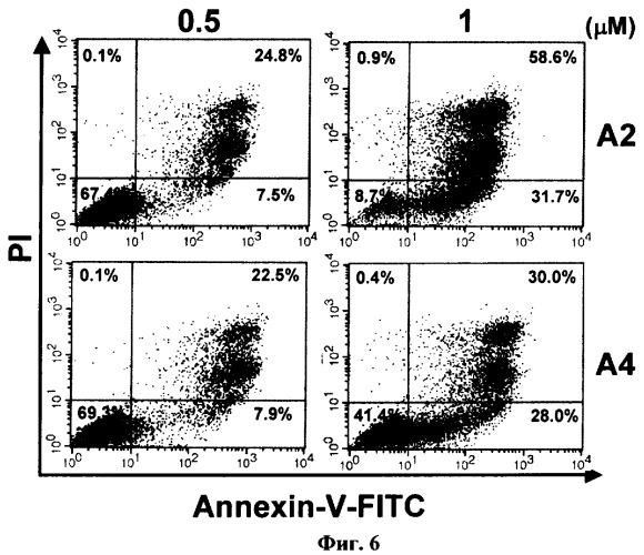 Средство, стимулирующее апоптоз клеток лейкемии человека (патент 2360692)