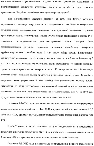 Антитела к гликопротеину vi и способы продуцирования и использования этих антител (патент 2407752)