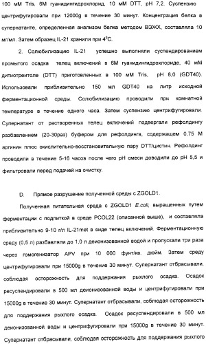 Продуцирование il-21 в прокариотических клетках-хозяевах (патент 2354703)