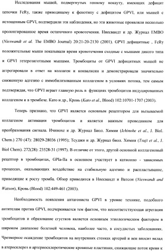 Антитела к гликопротеину vi и способы продуцирования и использования этих антител (патент 2407752)