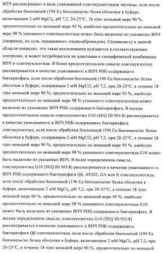 Способы упаковки олигонуклеотидов в вирусоподобные частицы рнк-содержащих бактериофагов (патент 2476595)