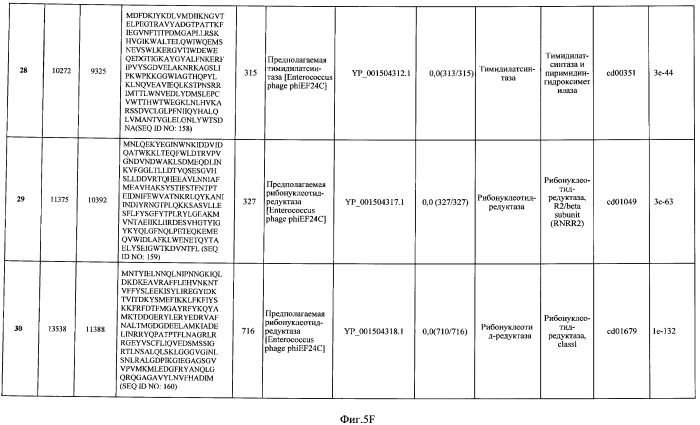 Бактериофаг, обладающий активностью против pseudomonas aeruginosa, белки бактериофага и способы их применения (патент 2580248)