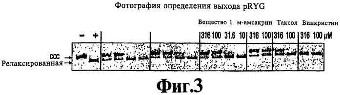 Производные индола, обладающие индуцирующим апоптоз эффектом (варианты), фармацевтическая композиция на их основе (патент 2327696)