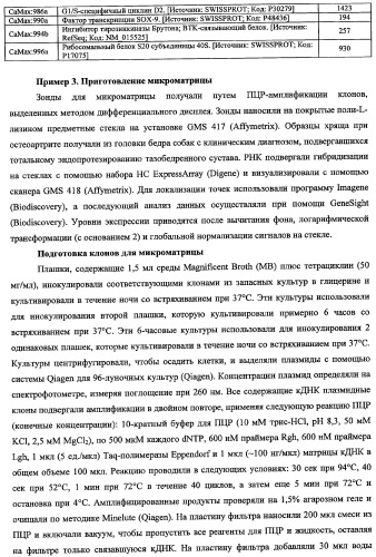 Гены, связанные с остеоартритом собак, и относящиеся к этому способы и композиции (патент 2341795)