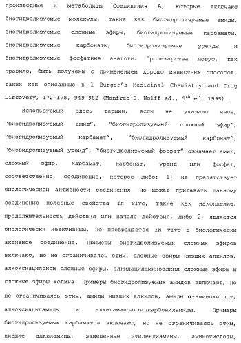 Твердые формы, содержащие (+)-2-[1-(3-этокси-4-метоксифенил)-2-метилсульфонилэтил]-4-ацетиламиноизоиндолин-1, 3-дион, их композиции и применение (патент 2471782)