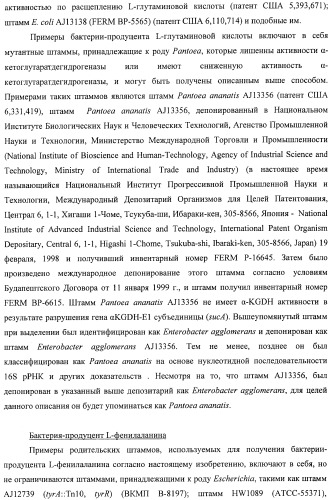 Способ получения l-треонина с использованием бактерии, принадлежащей к роду escherichia, в которой инактивирован ген msba (патент 2392313)