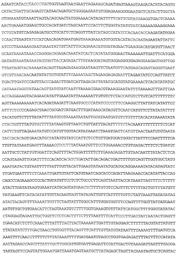 Применение s1p (патент 2362565)