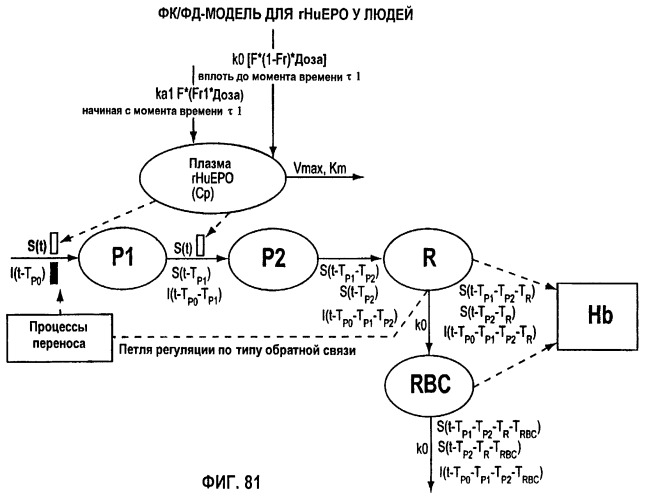Фармакокинетическое и фармакодинамическое моделирование введения эритропоэтина (патент 2248215)