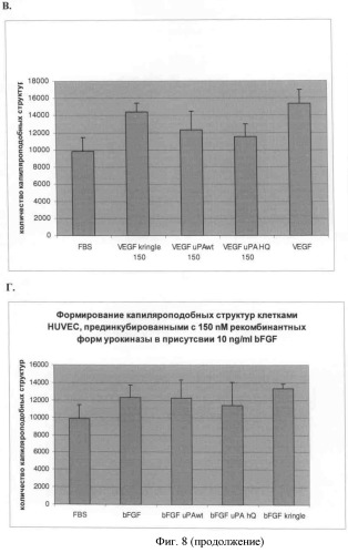 Способ подавления ангиогенеза с помощью рекомбинантных форм урокиназы (патент 2528249)