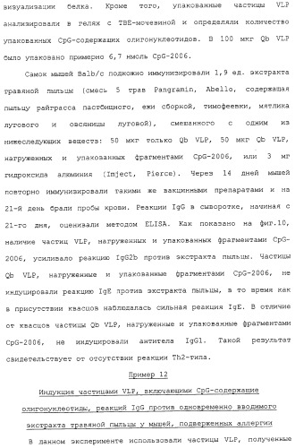 Композиции, содержащие cpg-олигонуклеотиды и вирусоподобные частицы, для применения в качестве адъювантов (патент 2322257)