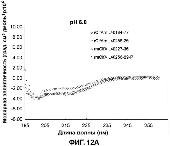 Стабильные иммуногенные композиции антигенов staphylococcus aureus (патент 2570730)