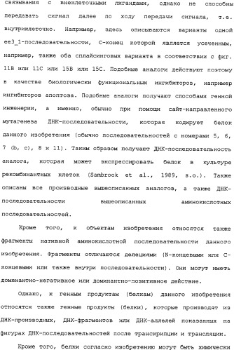 Ее3-семейство белков и соответствующие днк-последовательности (патент 2333918)