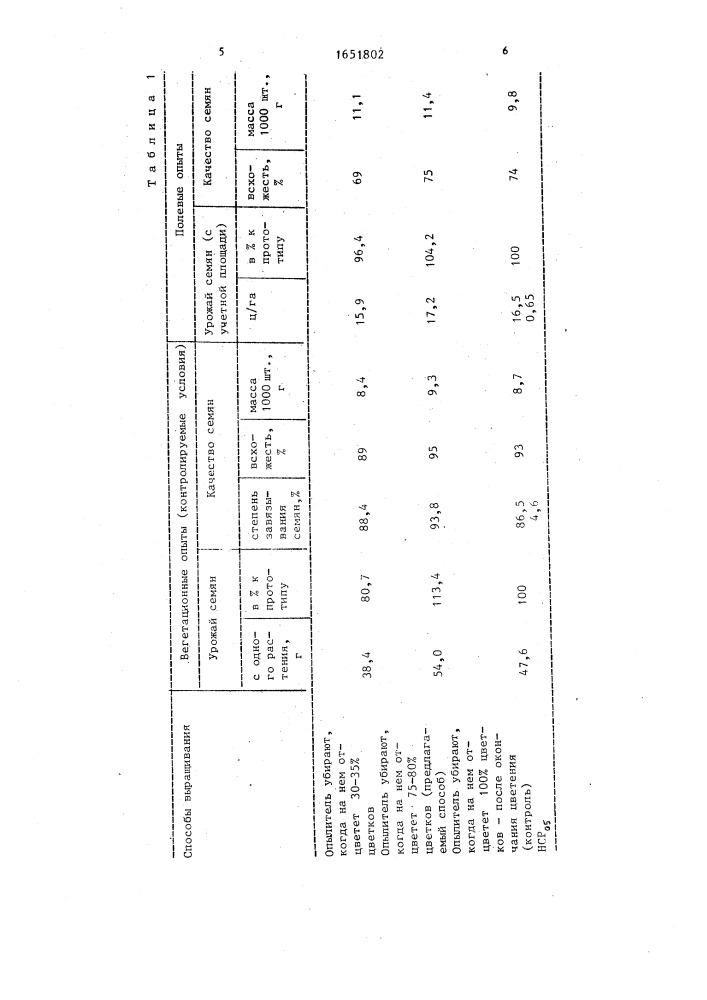 Способ получения гибридных семян сахарной свеклы (патент 1651802)