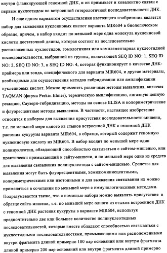 Вариант кукурузы mir604 (патент 2351122)