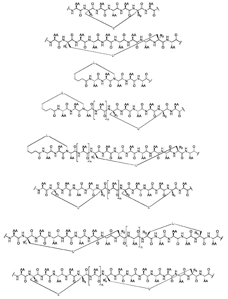 P53 пептидомиметические макроциклы (патент 2642299)