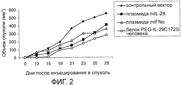 Применение il-28 и il-29 для лечения карциномы и аутоиммунных нарушений (патент 2389502)