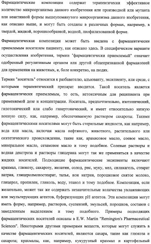 Микроорганизмы, ингибирующие образование неприятного подмышечного запаха (патент 2459864)