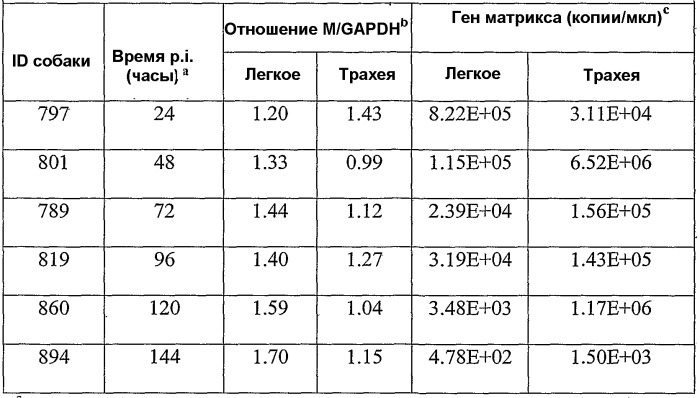 Вирус гриппа, способный инфицировать собачьих, и его применение (патент 2520081)