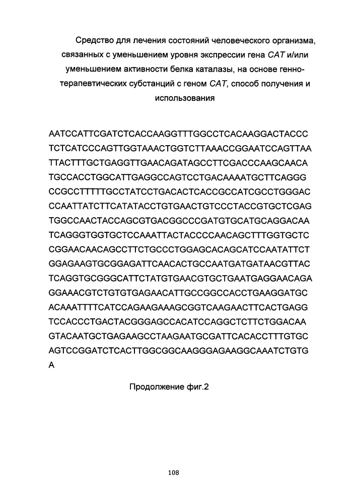 Средство для лечения состояний человеческого организма, связанных с уменьшением уровня экспрессии гена сат и/или уменьшением активности белка каталазы на основе генно-терапевтических субстанций с геном сат, способ получения и использования (патент 2649814)