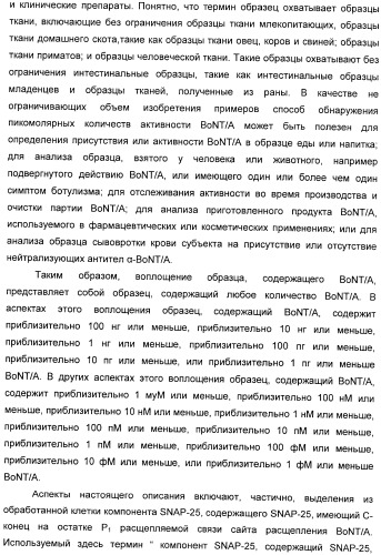 Иммунологические анализы активности ботулинического токсина серотипа а (патент 2491293)