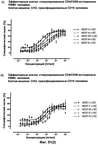 Pscaxcd3, cd19xcd3, c-metxcd3, эндосиалинxcd3, epcamxcd3, igf-1rxcd3 или fap-альфаxcd3 биспецифическое одноцепочечное антитело с межвидовой специфичностью (патент 2547600)