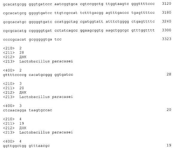 Штамм lactobacillus paracasei subspecies paracasei, обладающий антимикробными и иммуномодулирующими свойствами, и пищевой продукт на его основе (патент 2501850)