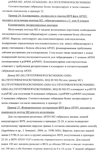 Вирусоподобные частицы, включающие гибридный белок белка оболочки бактериофага ар205 и антигенного полипептида (патент 2409667)