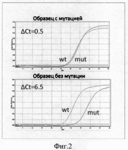 Способ определения чувствительности опухоли легкого к терапии ингибиторами тирозинкиназ (патент 2499994)