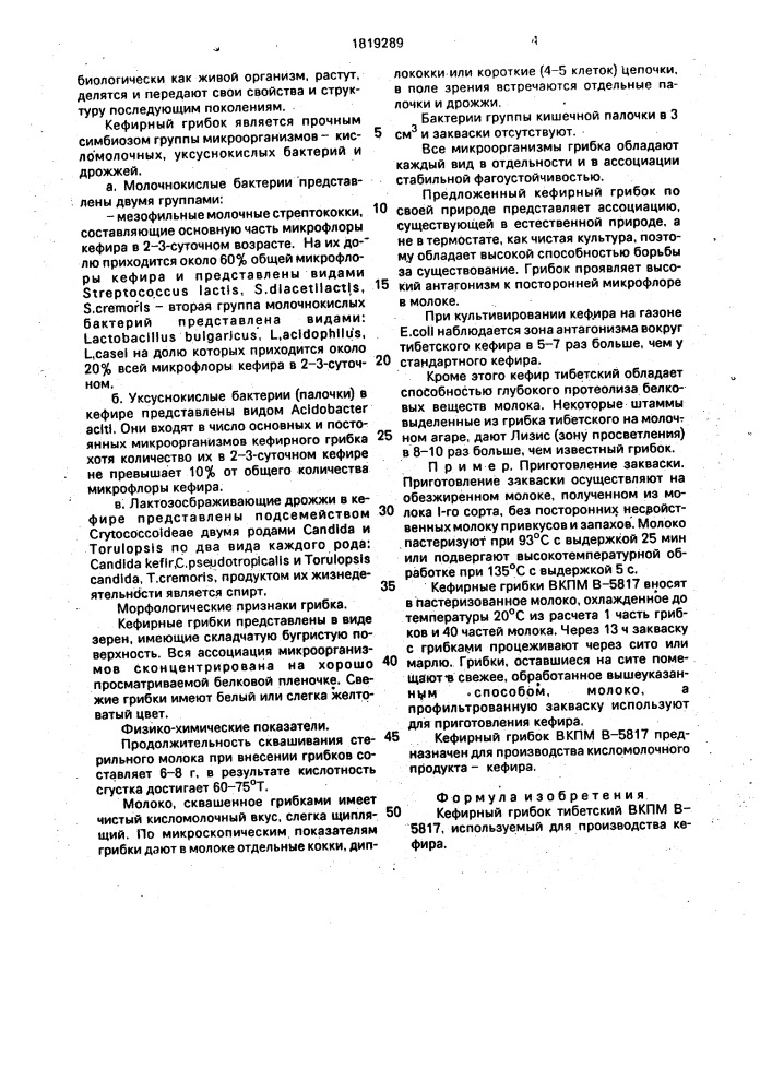 Кефирный грибок тибетский, используемый для производства кефира (патент 1819289)