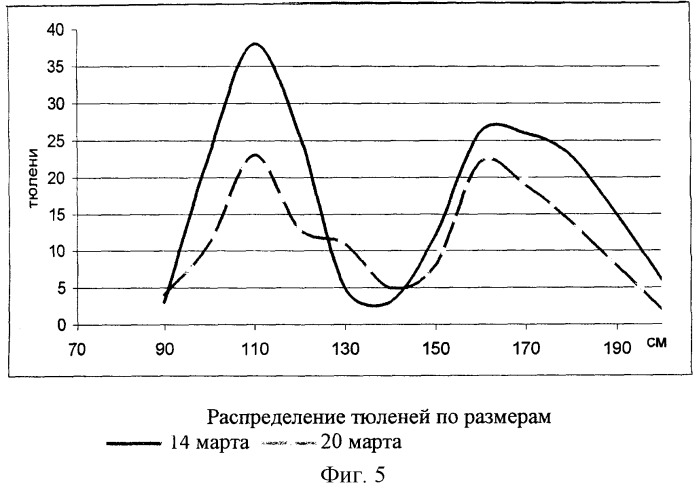 Способ дистанционного определения размерно-возрастного состава представителей семейства настоящие тюлени (патент 2279798)