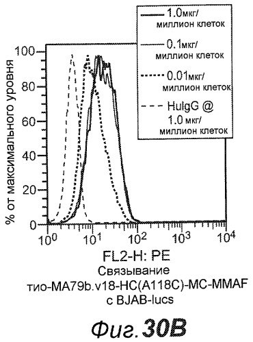 Анти-cd79b антитела и иммуноконъюгаты и способы их применения (патент 2511410)