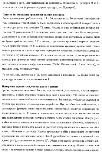 Растения, имеющие улучшенные характеристики роста, и способы их получения (патент 2463352)
