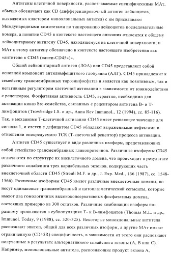 Терапевтические связывающие молекулы в виде химерного антитела (патент 2405790)