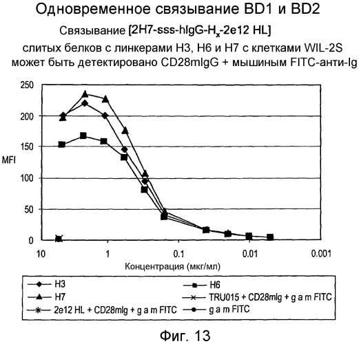 Одноцепочечные мультивалентные связывающие белки с эффекторной функцией (патент 2487888)