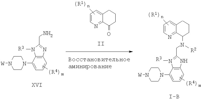 Производные тетрагидрохинолина, демонстрирующие защитное от вич-инфекции действие (патент 2350604)