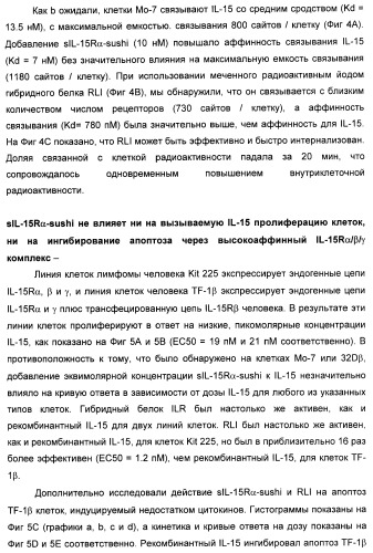 Соединение, предназначенное для стимуляции пути передачи сигнала через il-15rбета/гамма, с целью индуцировать и/или стимулировать активацию и/или пролиферацию il-15rбета/гамма-положительных клеток, таких как nk-и/или t-клетки, нуклеиновая кислота, кодирующая соединение, вектор экспрессии, клетка-хозяин, адъювант для иммунотерапевтической композиции, фармацевтическая композиция и лекарственное средство для лечения состояния или заболевания, при котором желательно повышение активности il-15, способ in vitro индукции и/или стимуляции пролиферации и/или активации il-15rбета/гамма-положительных клеток и способ получения in vitro активированных nk-и/или t-клеток (патент 2454463)