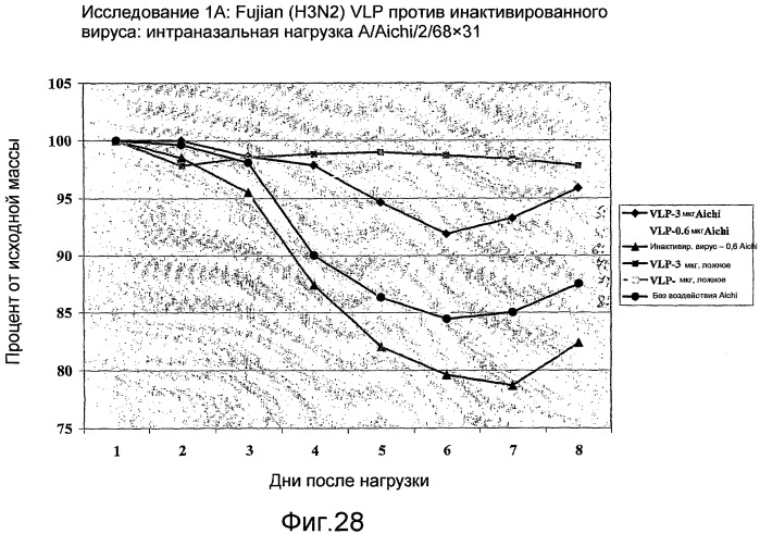 Функциональные вирусоподобные частицы гриппа (vlps) (патент 2483751)