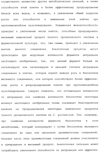 Гены corynebacterium glutamicum, кодирующие белки метаболических путей (патент 2306339)