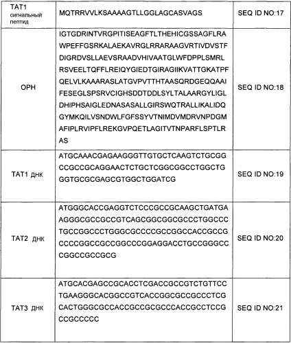 Сигнальные пептиды тат для продукции белков в прокариотах (патент 2487937)
