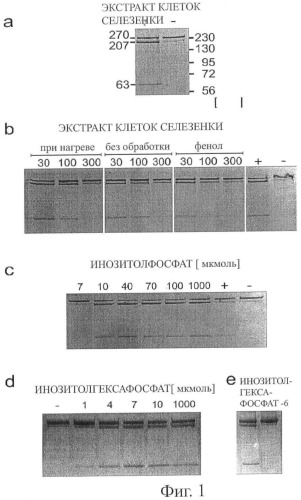 Лекарственное средство от отравлений (патент 2465893)