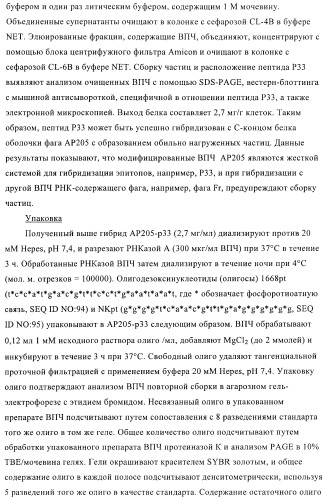 Вирусоподобные частицы, включающие гибридный белок белка оболочки бактериофага ар205 и антигенного полипептида (патент 2409667)