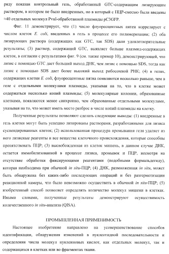 Бесконтактные способы обнаружения молекулярных колоний, наборы реагентов и устройство для их осуществления (патент 2394915)