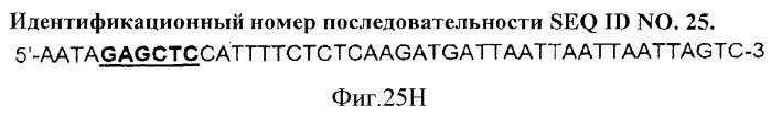 Иммуногенный эпитоп вируса гриппа (патент 2546872)