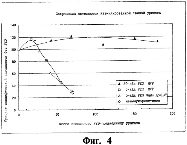 Конъюгаты уратоксидазы, фармацевтическая композиция для снижения уровней мочевой кислоты и способ получения вышеупомянутых конъюгатов (патент 2443426)