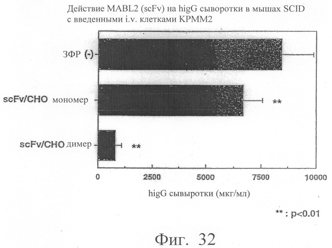 Модифицированное агонистическое антитело (патент 2295537)