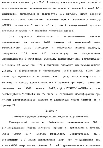 Новый лиганд рецептора цитокина zcytor17 (патент 2360923)