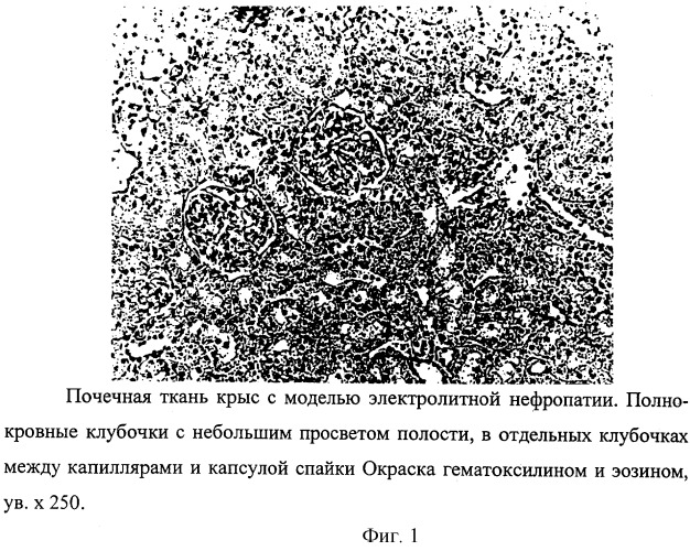 Способ моделирования электролитной нефропатии у крыс (патент 2256953)