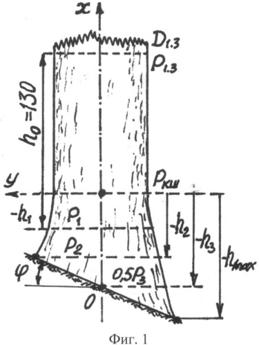 Способ анализа формы комля дерева (патент 2529167)
