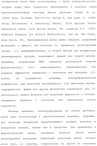 Антитела, сконструированные на основе цистеинов, и их конъюгаты (патент 2412947)