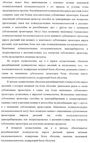 Изолированные полипептиды, кодирующие их полинуклеотиды, экспрессирующие их трансгенные растения и способы их использования (патент 2425151)